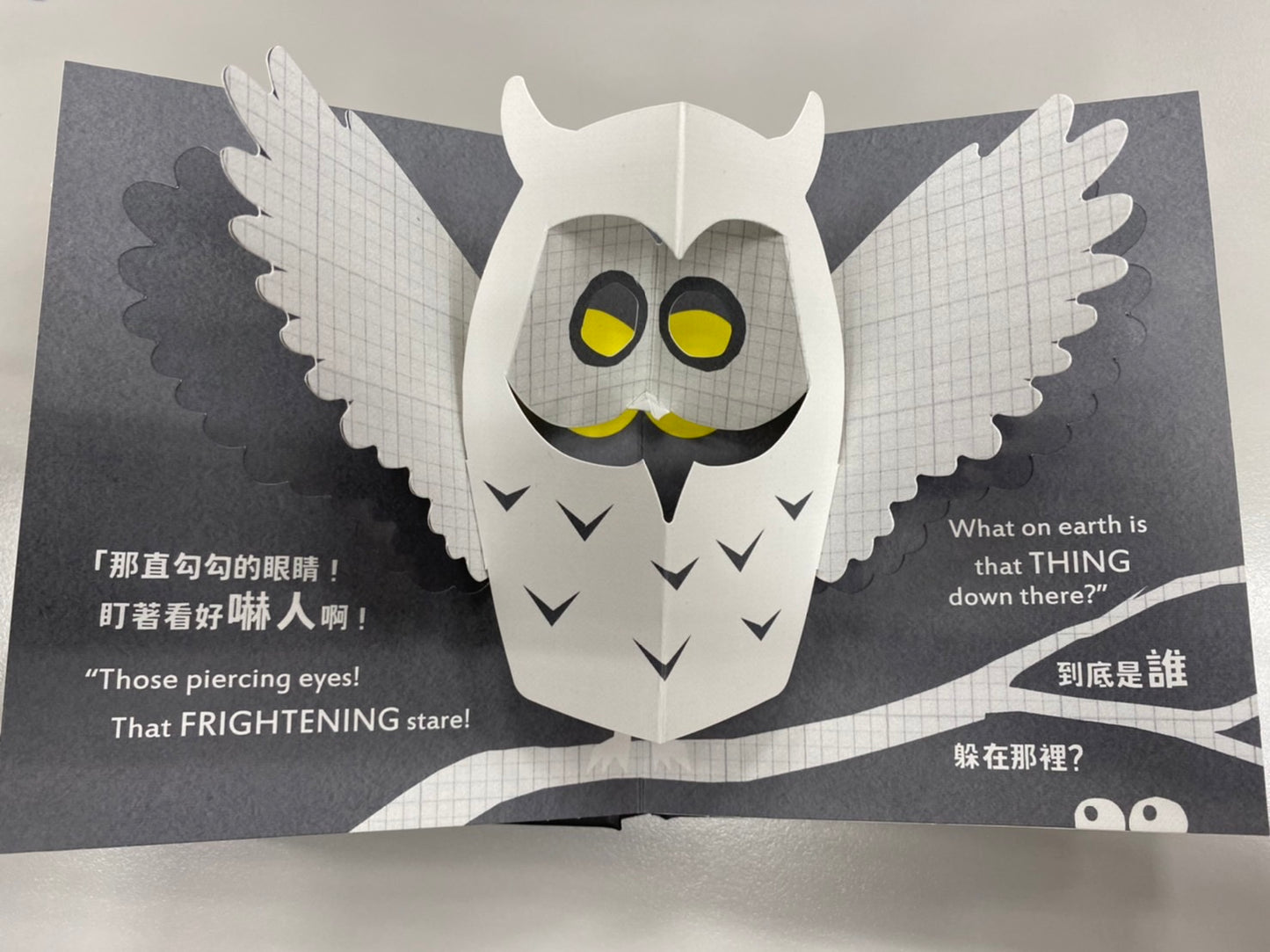 Chinese picture books for children and kids Australia, Polyglot Tales, Mandarin, Traditional chinese, chinese storybooks Australia, zhuyin, bilingual children books, SImplified chinese