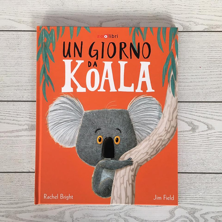 A book cover of a cute children's book about Koala in Italian language available at Polyglot Tales, an online bilingual children's book store in Australia.